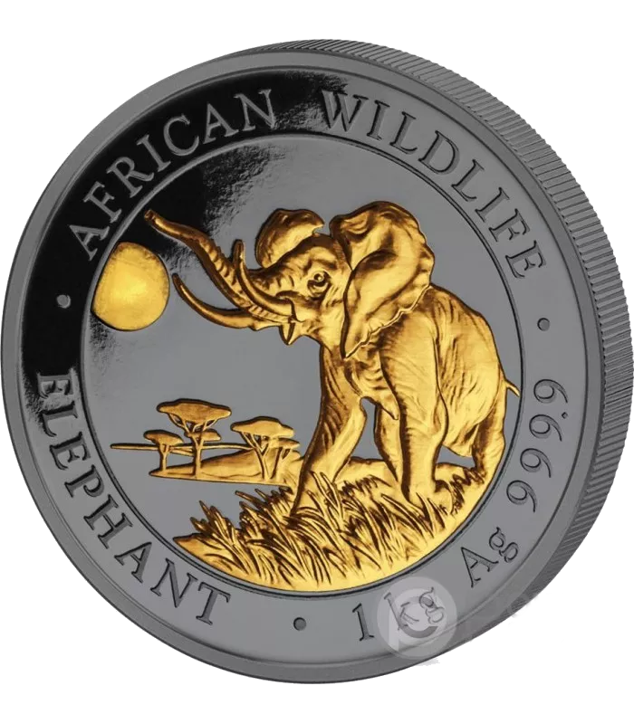 enigma elephant 2016 1