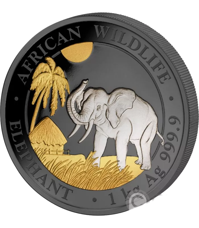 enigma elephant 2017 1