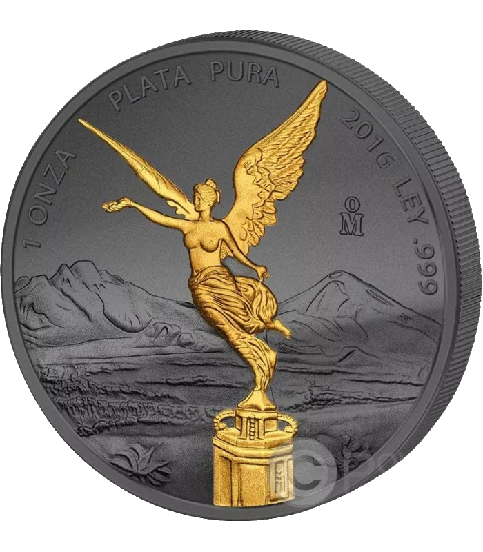 Libertad enigma 1