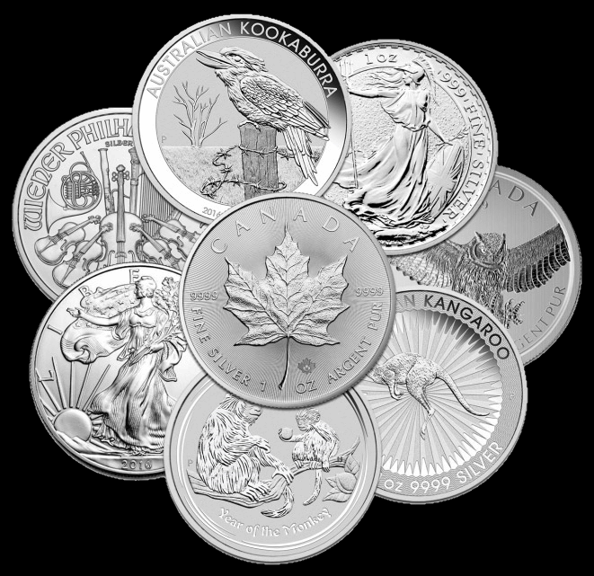 bereiken Perseus Koreaans Zilveren munten kopen | Europese GoudStandaard